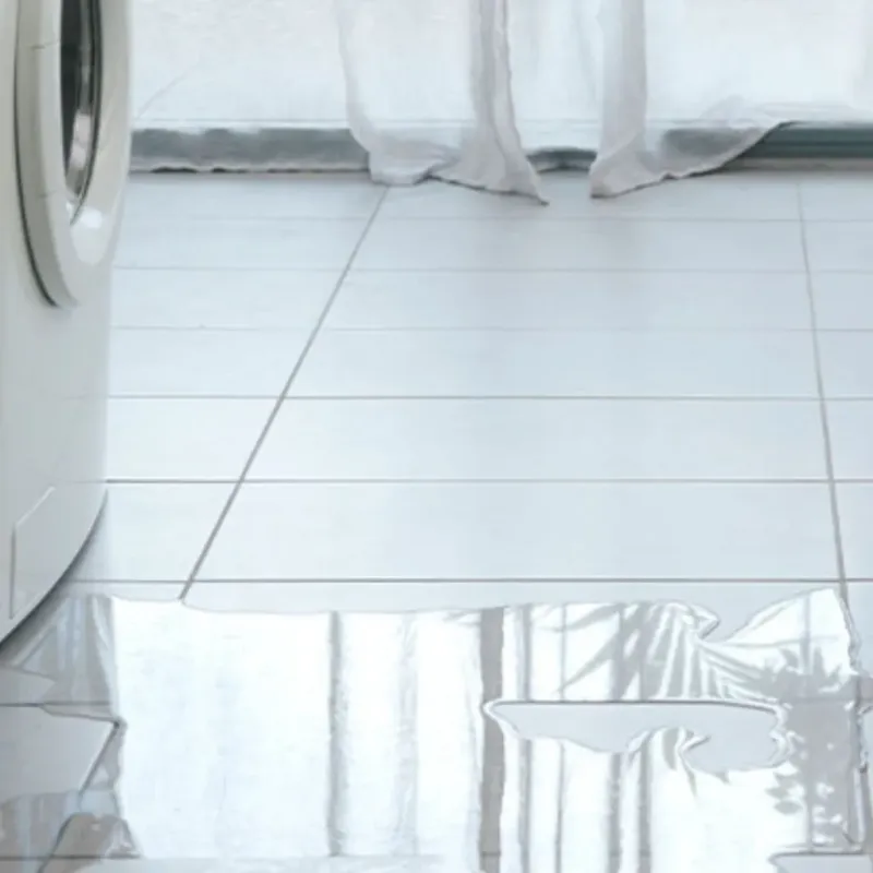 Appliance Leak Cleanup in Black Point-Green Point, CA