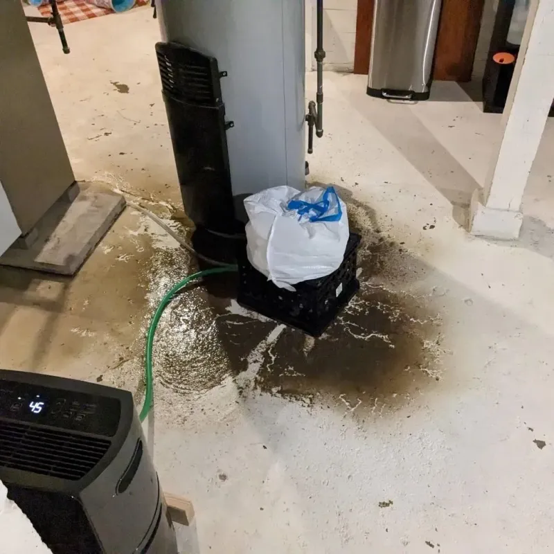Sewage Backup Cleanup Service in Black Point-Green Point, CA